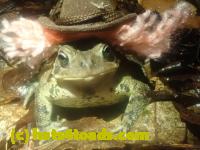 /home//u458753944/public_html/sourcegallery//////McKaig Nature Center/2024-09-29/P9291578.JPG